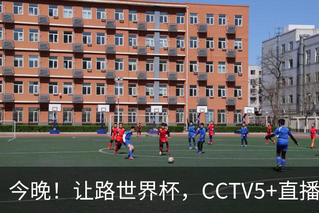 今晚！让路世界杯，CCTV5+直播中国男篮VS荷兰，NBA球员杨瀚森归队